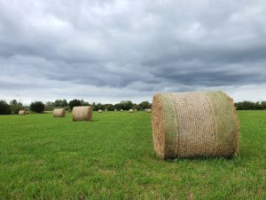 Round Hay Bales on Grassland